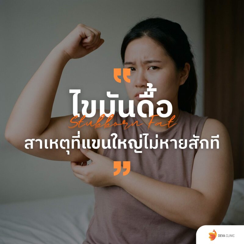 ไขมันดื้อ